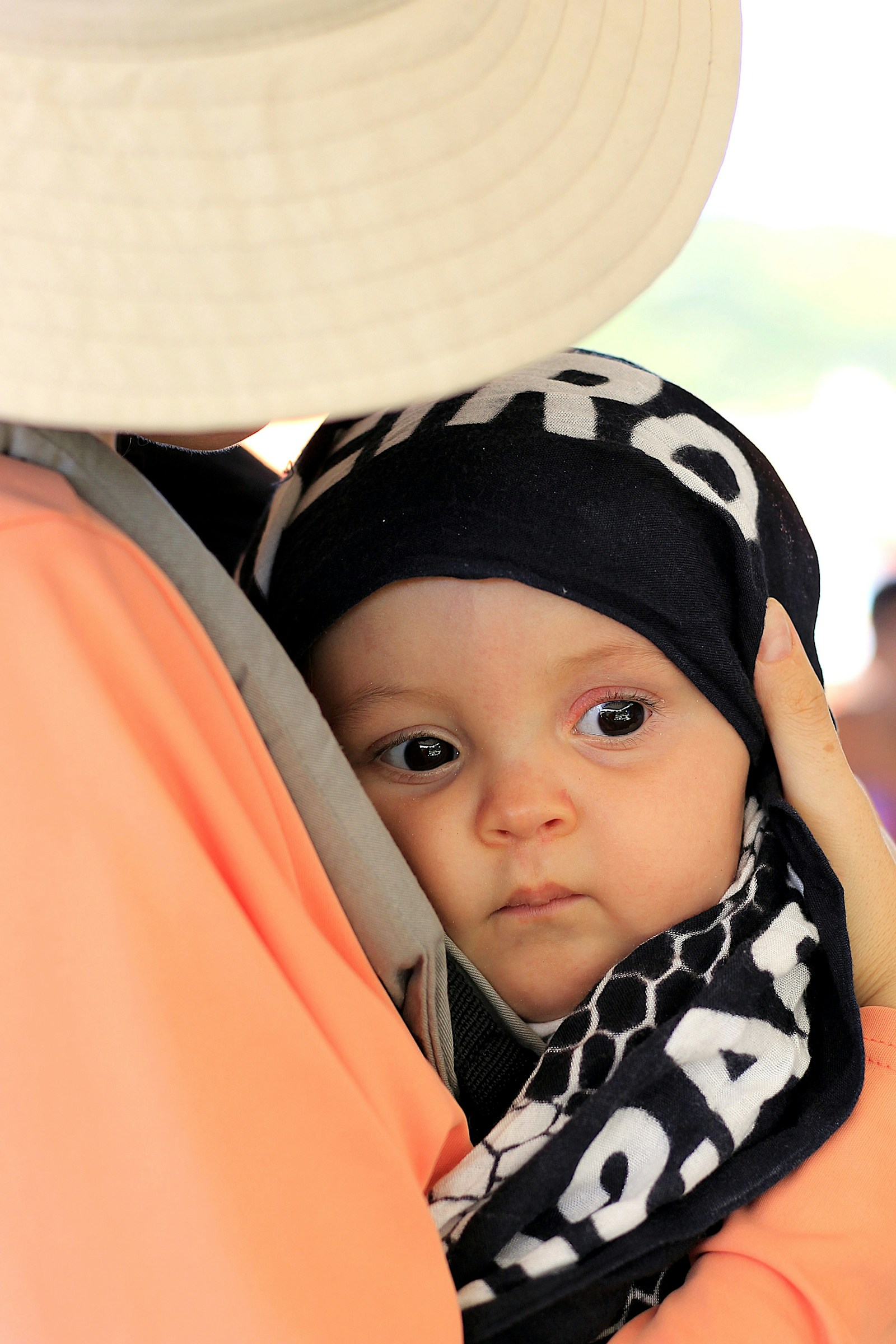 Baby Carrier for Hiking With a Newborn: What to Use Before 6 Months
